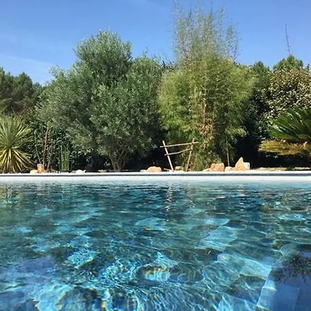 Villa Avec Piscine Et Animaux Permis - 10 Pers. - Fr-1-881-26 *